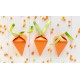 12 TREAT BOXES CAROTA