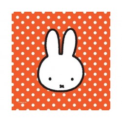 20 TOVAGLIOLINI MIFFY