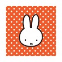 20 TOVAGLIOLINI MIFFY